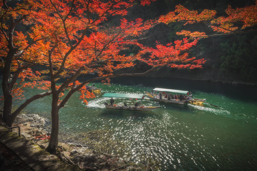 ADS8793-1024x682 秋の嵐山へ紅葉巡りの旅