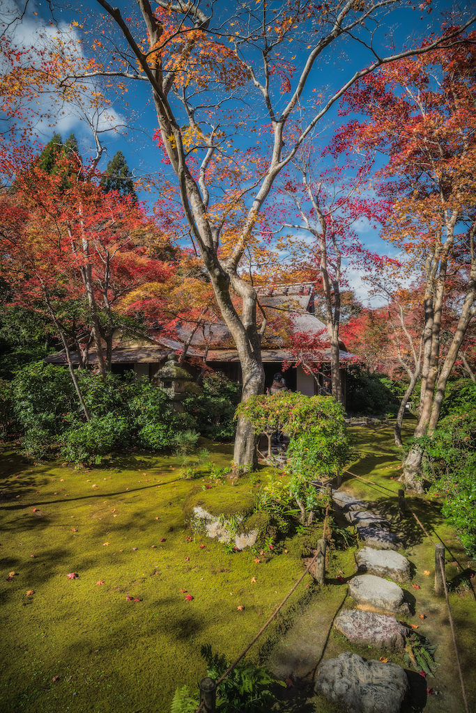ADS8883-683x1024 秋の嵐山へ紅葉巡りの旅