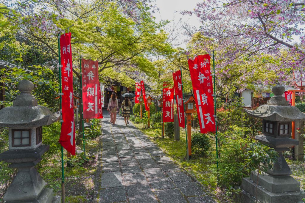 DSC0392-1024x683 京都 - 長建寺 ( 京都 春 桜 写真スポット)