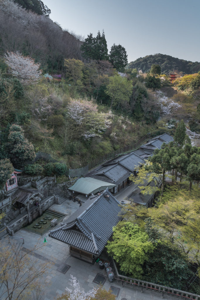 DSC_4698-683x1024 京都 - 清水寺 ( 京都 春 桜 写真スポット)
