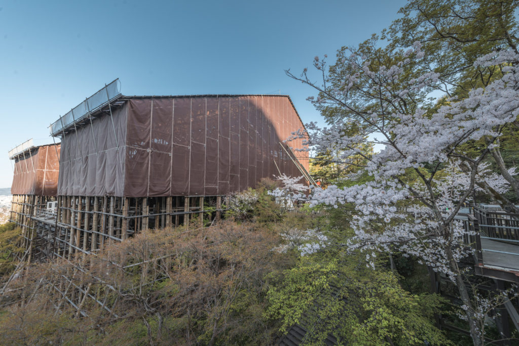 DSC_4710-1024x684 京都 - 清水寺 ( 京都 春 桜 写真スポット)