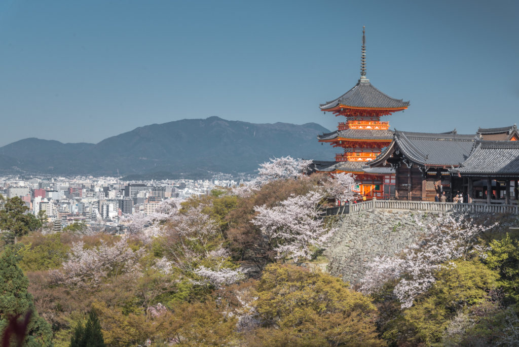DSC_4724-1024x684 京都 - 清水寺 ( 京都 春 桜 写真スポット)