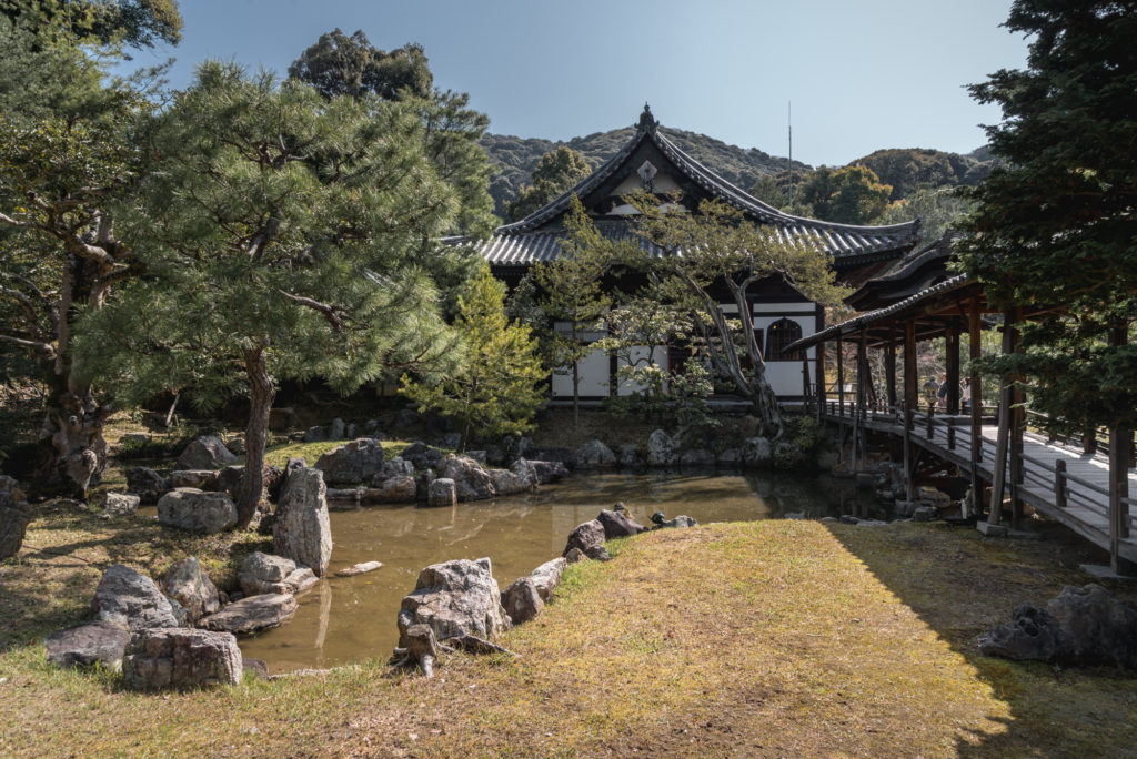 DSC_4816-1024x684 京都 - 高台寺 ( 京都 春 桜 写真スポット)