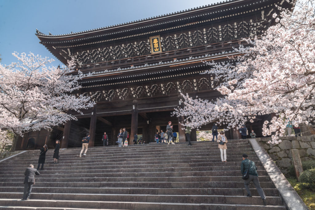 DSC_4886-1024x684 京都 - 知恩院 ( 京都 春 桜 写真スポット)