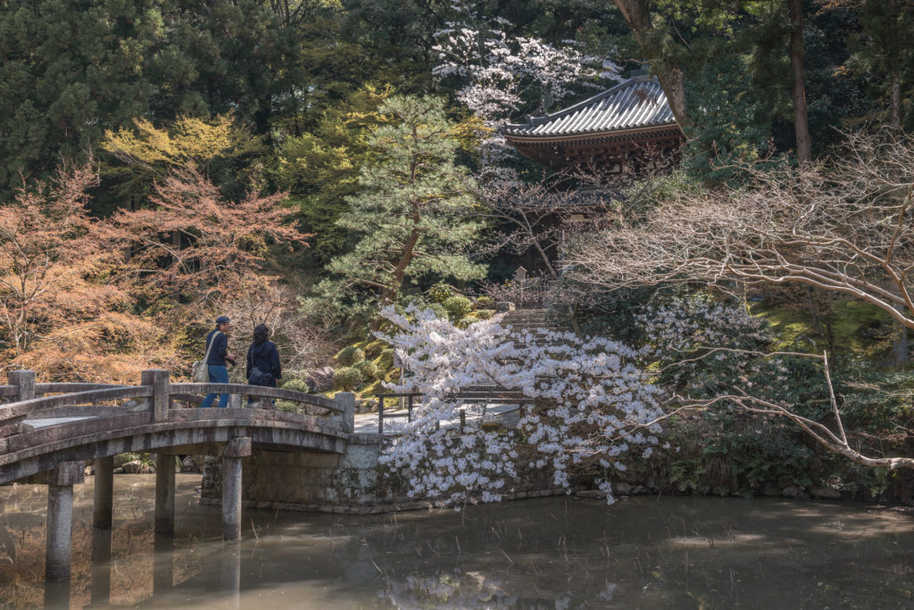 DSC_4895-1024x684 京都 - 知恩院 ( 京都 春 桜 写真スポット)