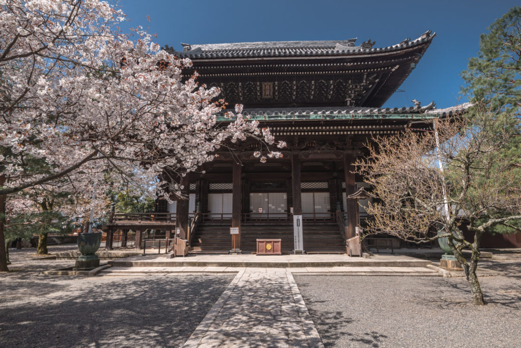 DSC_4913-1024x684 京都 - 知恩院 ( 京都 春 桜 写真スポット)