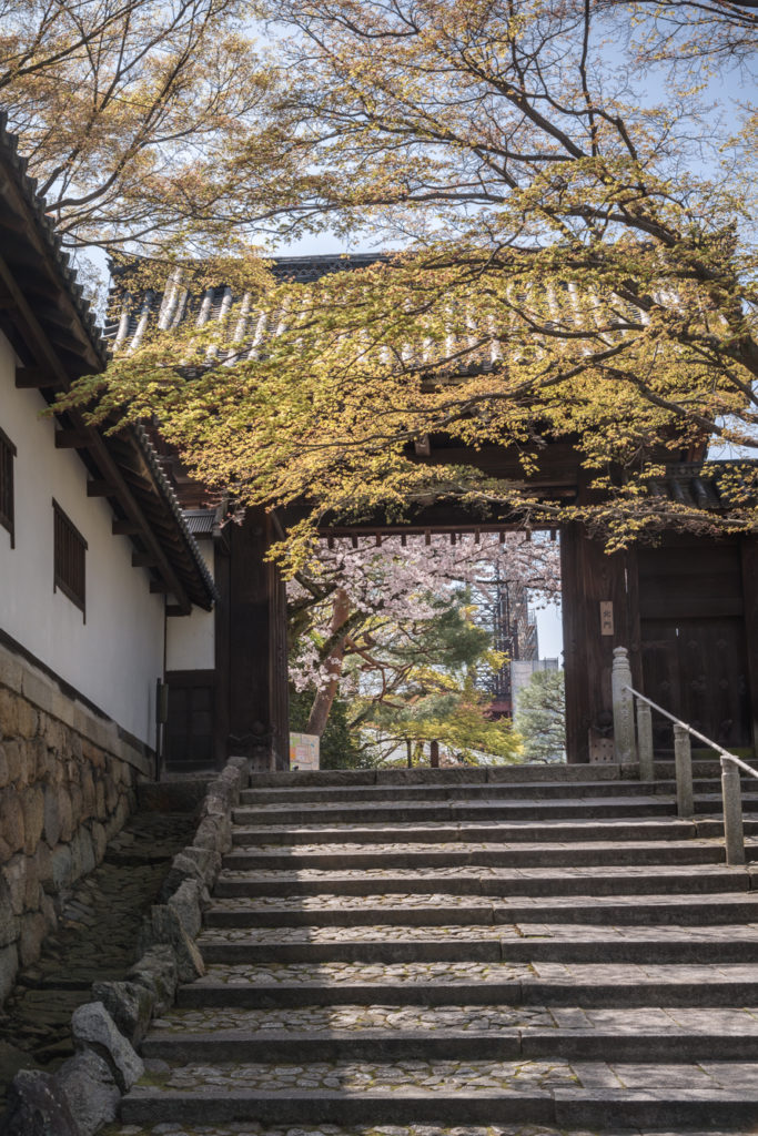 DSC_4929-683x1024 京都 - 知恩院 ( 京都 春 桜 写真スポット)