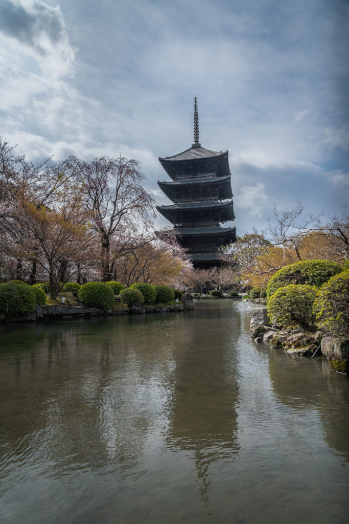 DSC01854-683x1024 京都 - 東寺 ( 京都 春 桜 写真スポット)