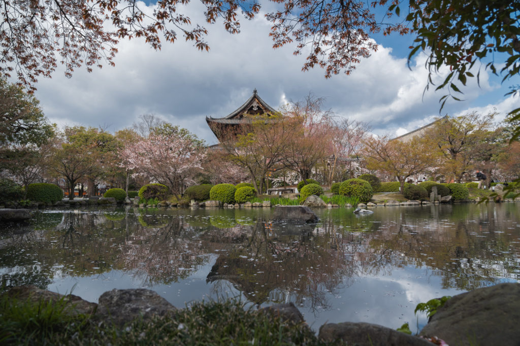 DSC01883-1024x682 京都 - 東寺 ( 京都 春 桜 写真スポット)