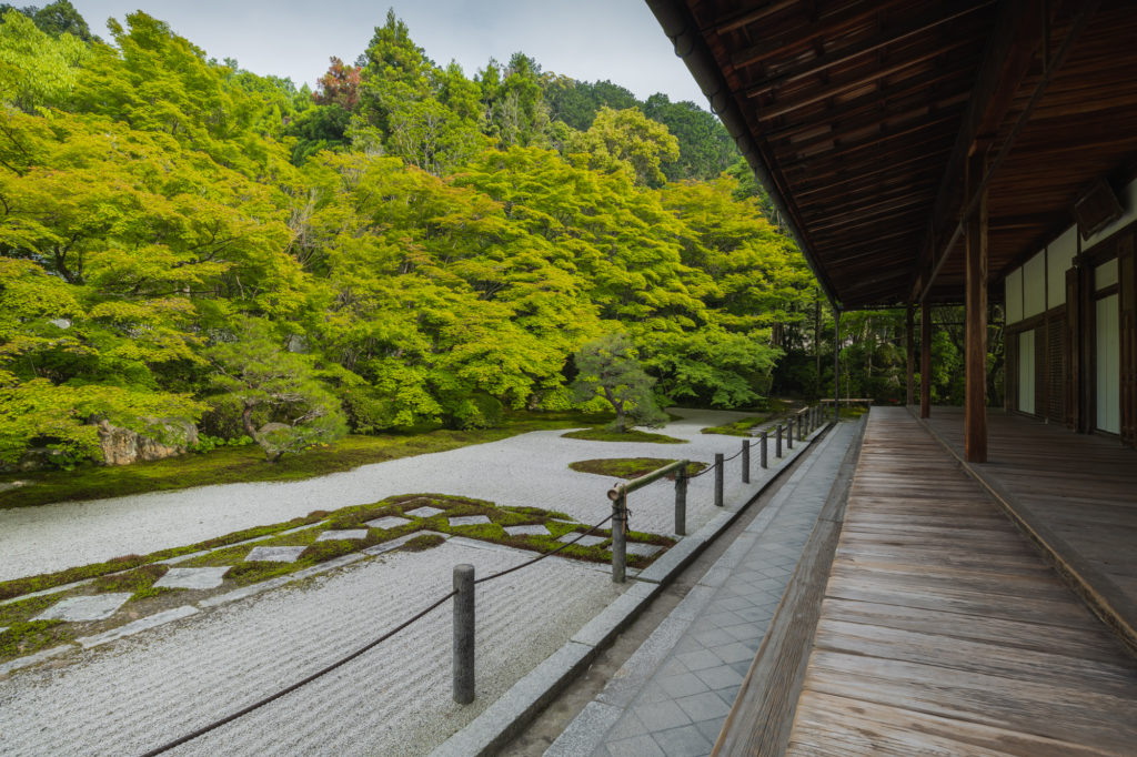 DSC0547-1024x682 京都 天授庵 ( 京都 夏 新緑 秋 紅葉 写真スポット)