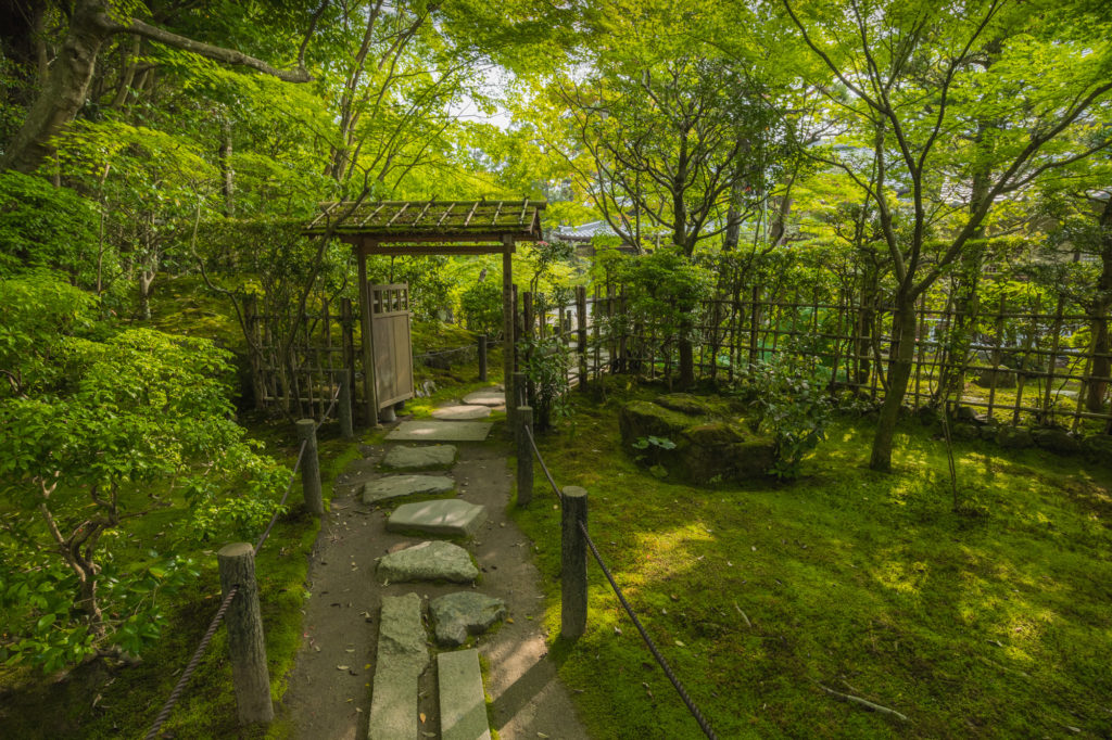 DSC0550-1024x682 京都 夏の撮影スポット19選! 新緑の庭園やあじさい、海の景色など京都の夏の景色が満載! 旅行や観光スポット探しにおすすめ!