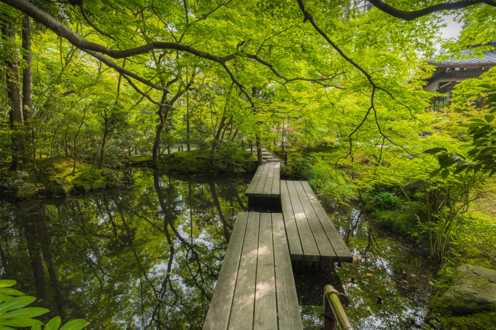 DSC0551-1024x682 京都 夏の撮影スポット19選! 新緑の庭園やあじさい、海の景色など京都の夏の景色が満載! 旅行や観光スポット探しにおすすめ!