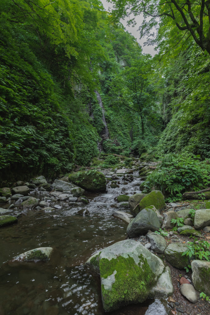 DSC2284-683x1024 兵庫県 シワガラの滝(大自然の秘境にある幻想的な滝スポット!写真の紹介、アクセス情報やなど)　
