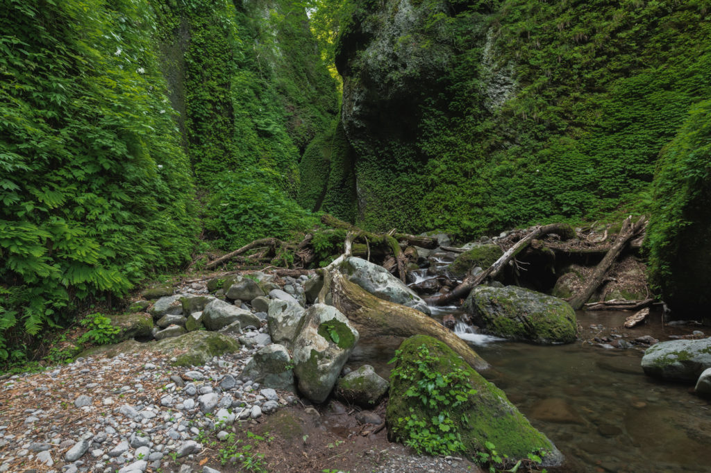 DSC2289-1024x682 兵庫県 シワガラの滝(大自然の秘境にある幻想的な滝スポット!写真の紹介、アクセス情報やなど)　