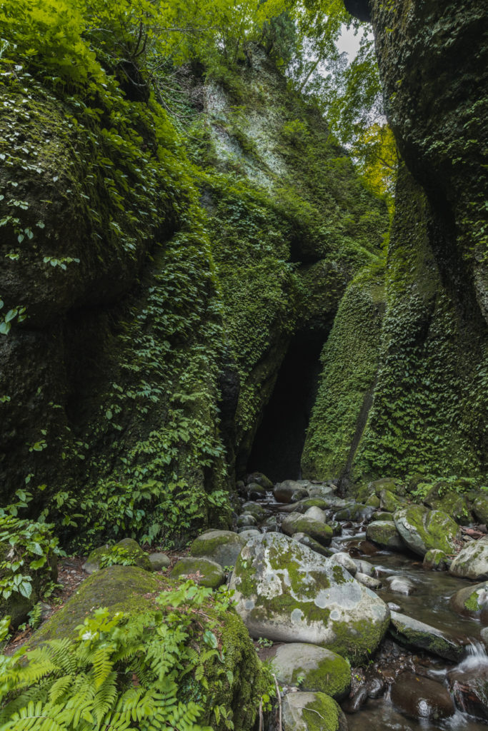 DSC2306-683x1024 兵庫県 シワガラの滝(大自然の秘境にある幻想的な滝スポット!写真の紹介、アクセス情報やなど)　
