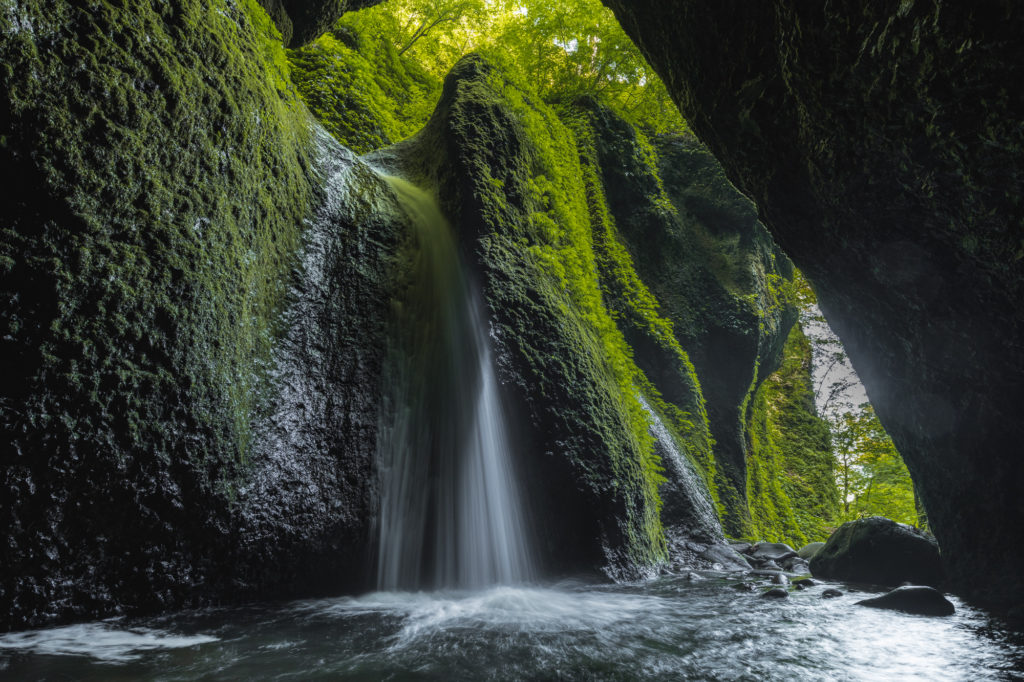 DSC2381-1024x682 兵庫県 シワガラの滝(大自然の秘境にある幻想的な滝スポット!写真の紹介、アクセス情報やなど)　