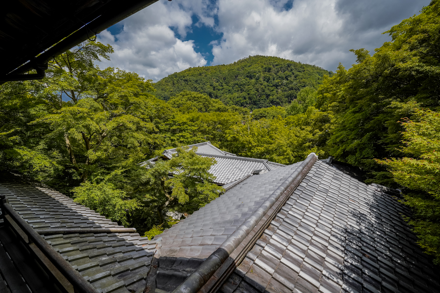 DSC04975 京都 瑠璃光院(京都の夏、新緑のおすすめ写真スポット!撮影した写真の紹介、アクセス情報や撮影ポイントなど!)