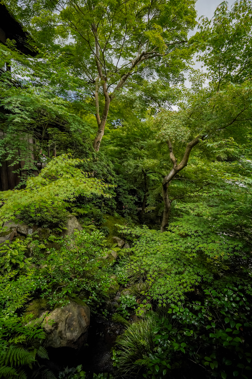 DSC05110 京都 瑠璃光院(京都の夏、新緑のおすすめ写真スポット!撮影した写真の紹介、アクセス情報や撮影ポイントなど!)