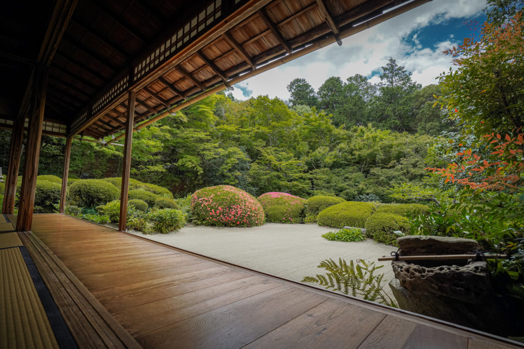 DSC05234-1024x682 京都 夏の撮影スポット19選! 新緑の庭園やあじさい、海の景色など京都の夏の景色が満載! 旅行や観光スポット探しにおすすめ!