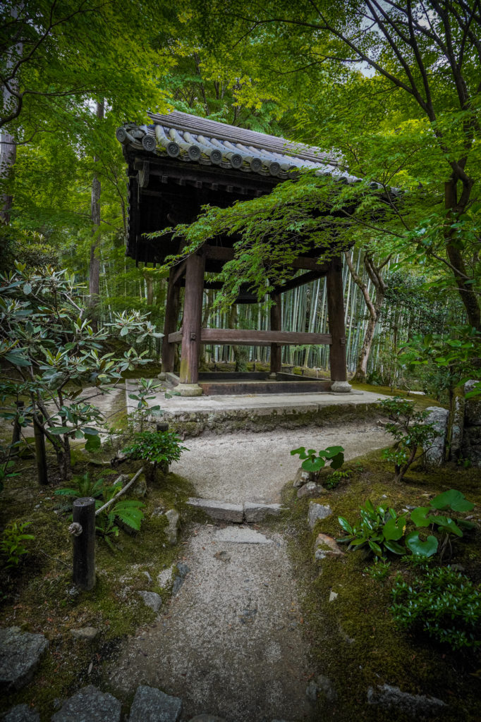 DSC05583-682x1024 京都  圓光寺(京都の夏、新緑の時期におすすめのスポット!写真の紹介、アクセス情報など)　