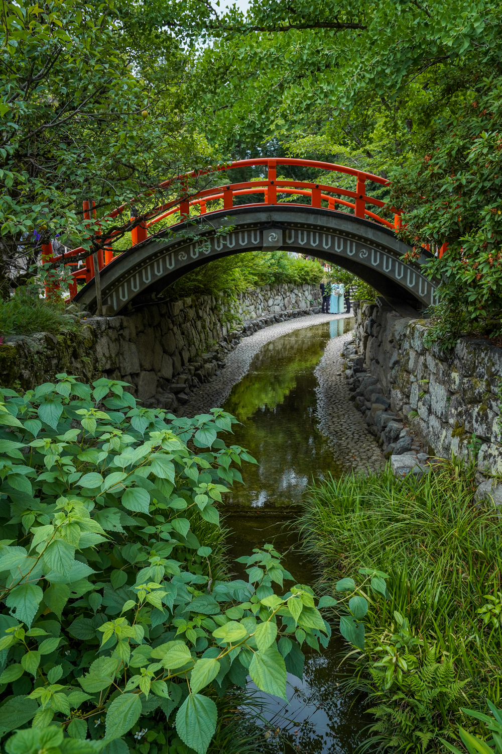 DSC05803 京都  下鴨神社(京都の夏、新緑の時期におすすめのスポット!写真の紹介、アクセス情報など)　