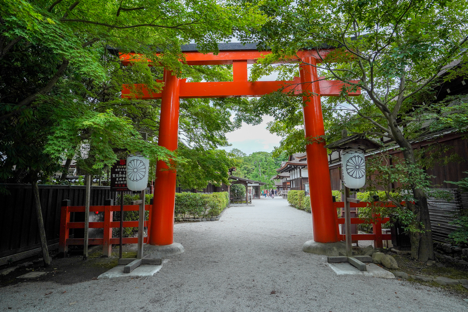 DSC05838 京都  下鴨神社(京都の夏、新緑の時期におすすめのスポット!写真の紹介、アクセス情報など)　