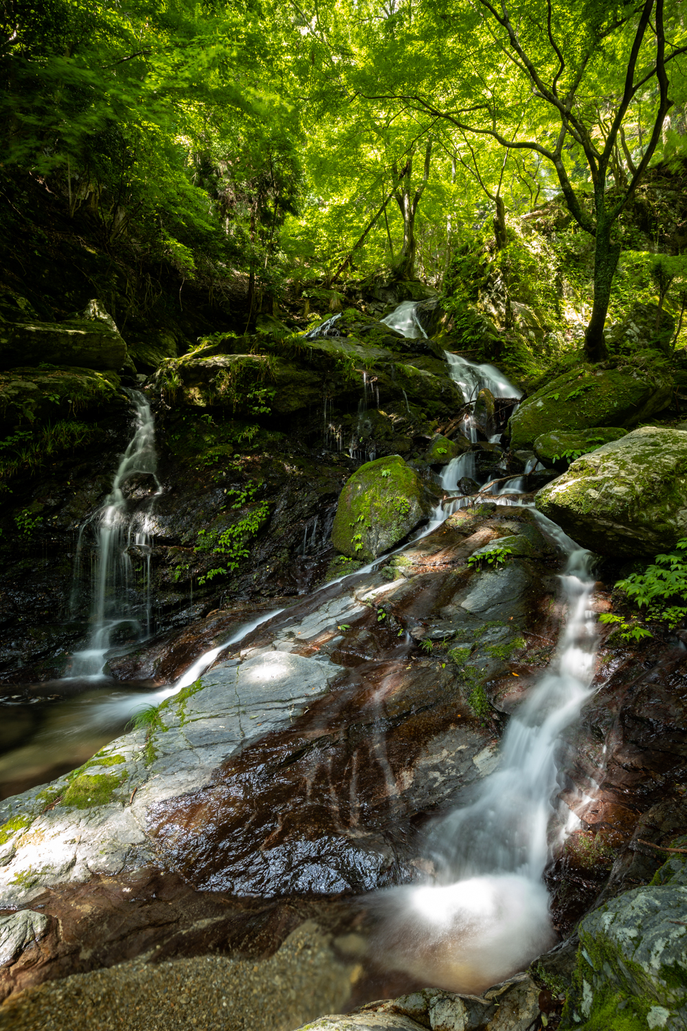 DSC06905 奈良県 和佐羅滝(奈良の奥地にある新緑の時期におすすめの滝スポット!写真の紹介、アクセス情報など)　