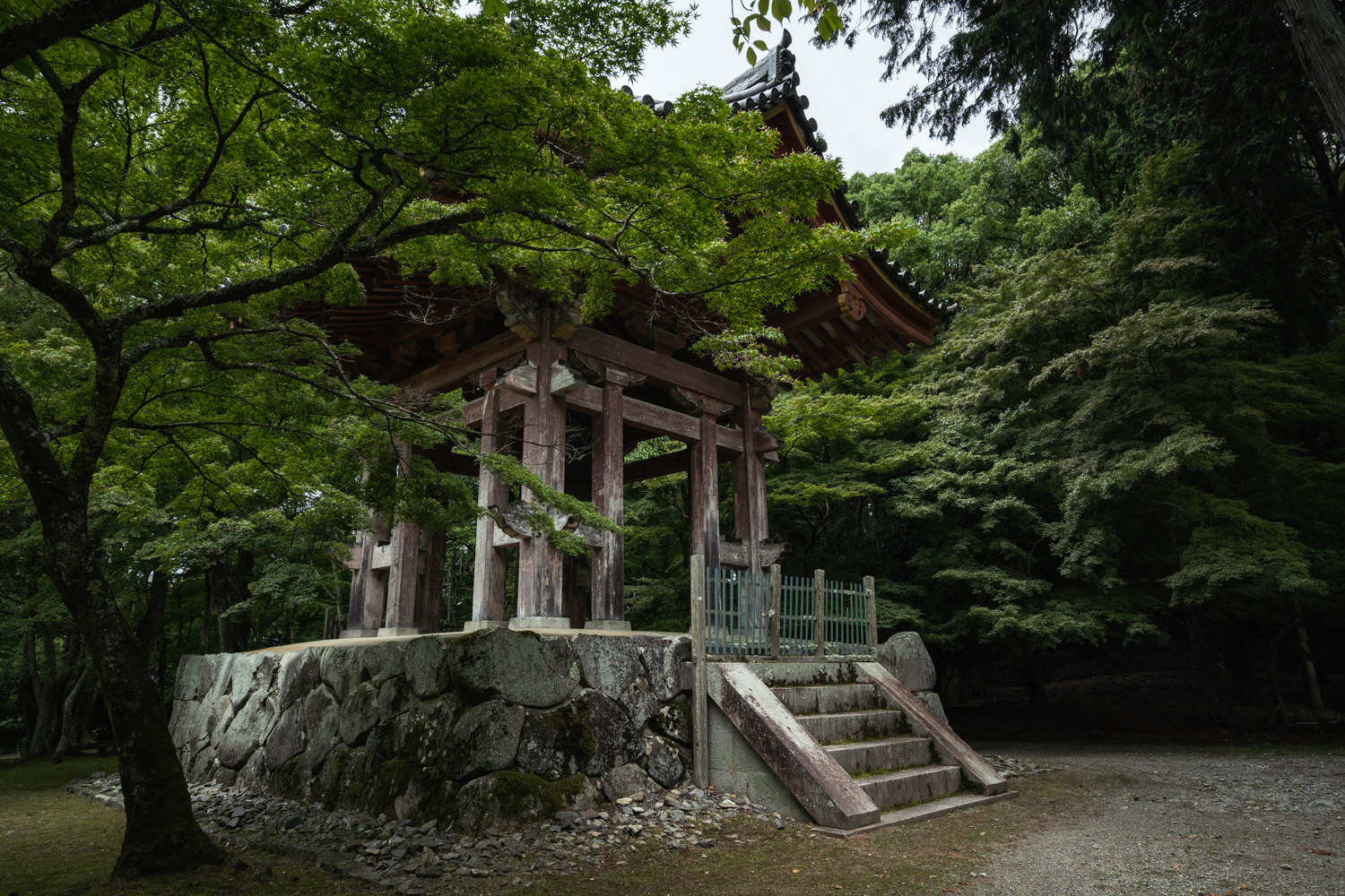 DSC07169 京都  醍醐寺(京都の夏、新緑の時期におすすめのスポット!写真の紹介、アクセス情報など)