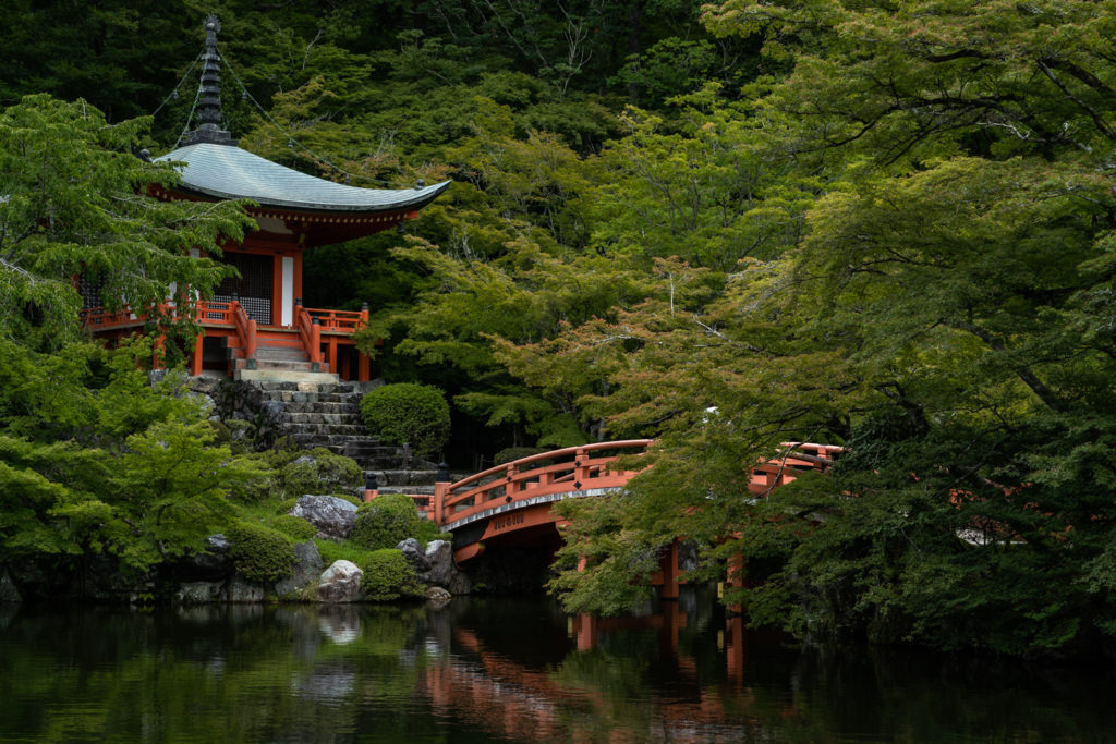 DSC07190-1024x683 京都  醍醐寺(京都の夏、新緑の時期におすすめのスポット!写真の紹介、アクセス情報など)