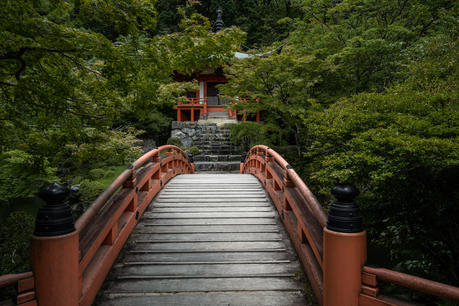 DSC07252 京都  醍醐寺(京都の夏、新緑の時期におすすめのスポット!写真の紹介、アクセス情報など)