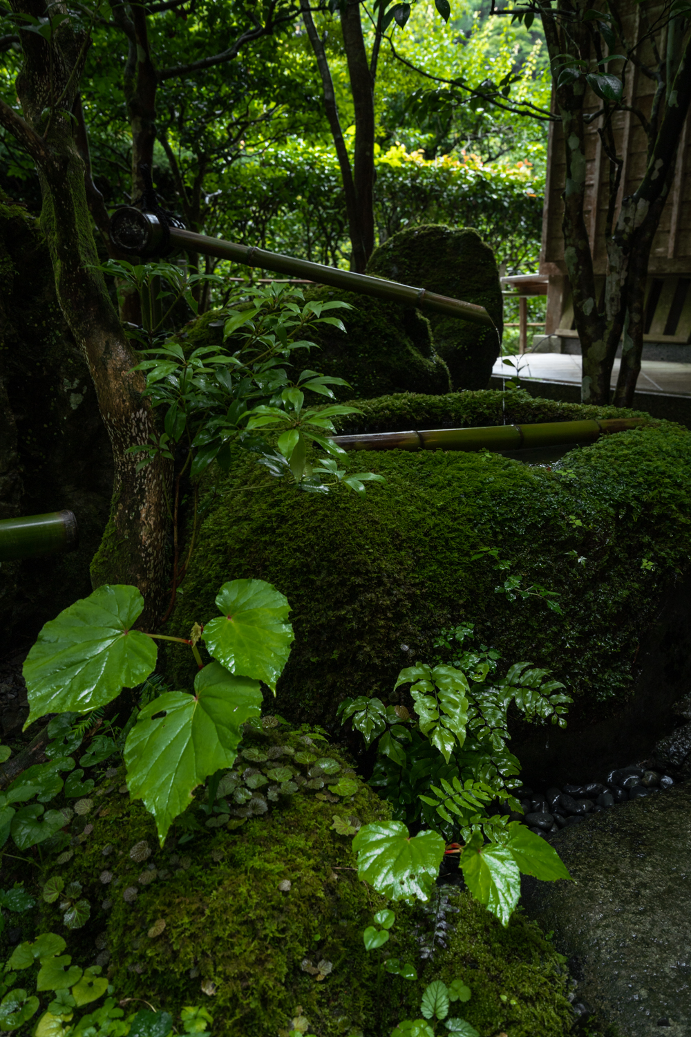 DSC09318 京都  貴船神社(京都の夏、新緑の時期におすすめのスポット!写真の紹介、アクセス情報など)