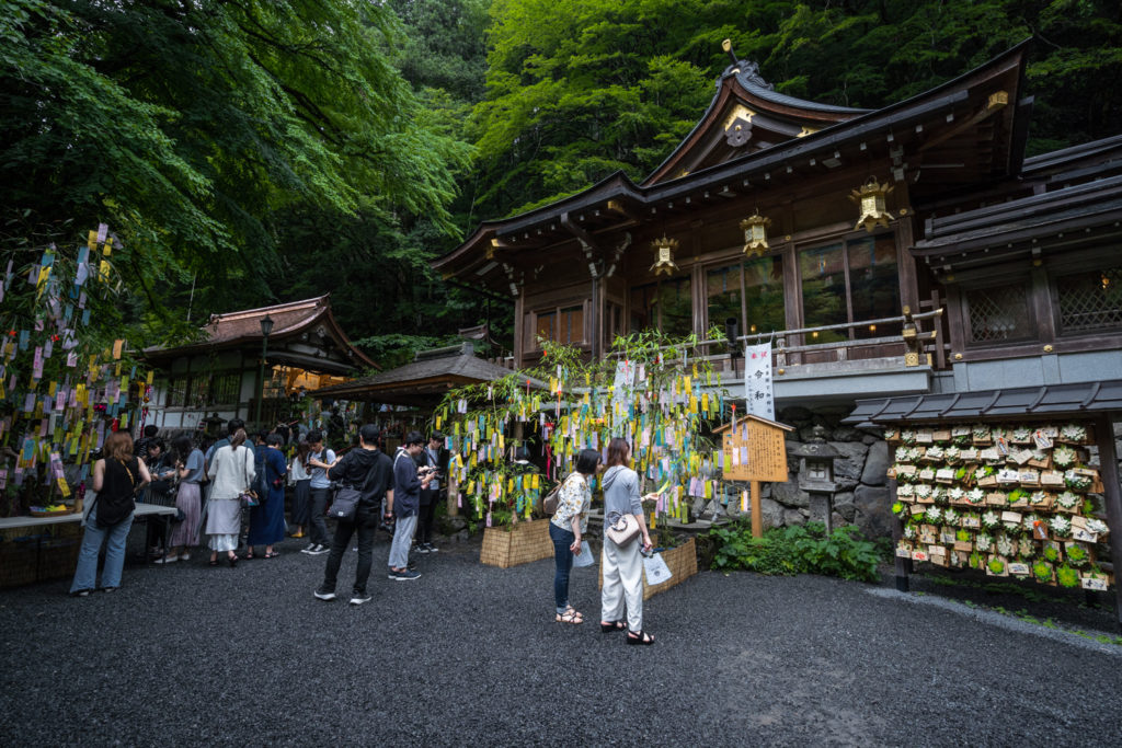 DSC09370-1024x683 京都 夏の撮影スポット19選! 新緑の庭園やあじさい、海の景色など京都の夏の景色が満載! 旅行や観光スポット探しにおすすめ!