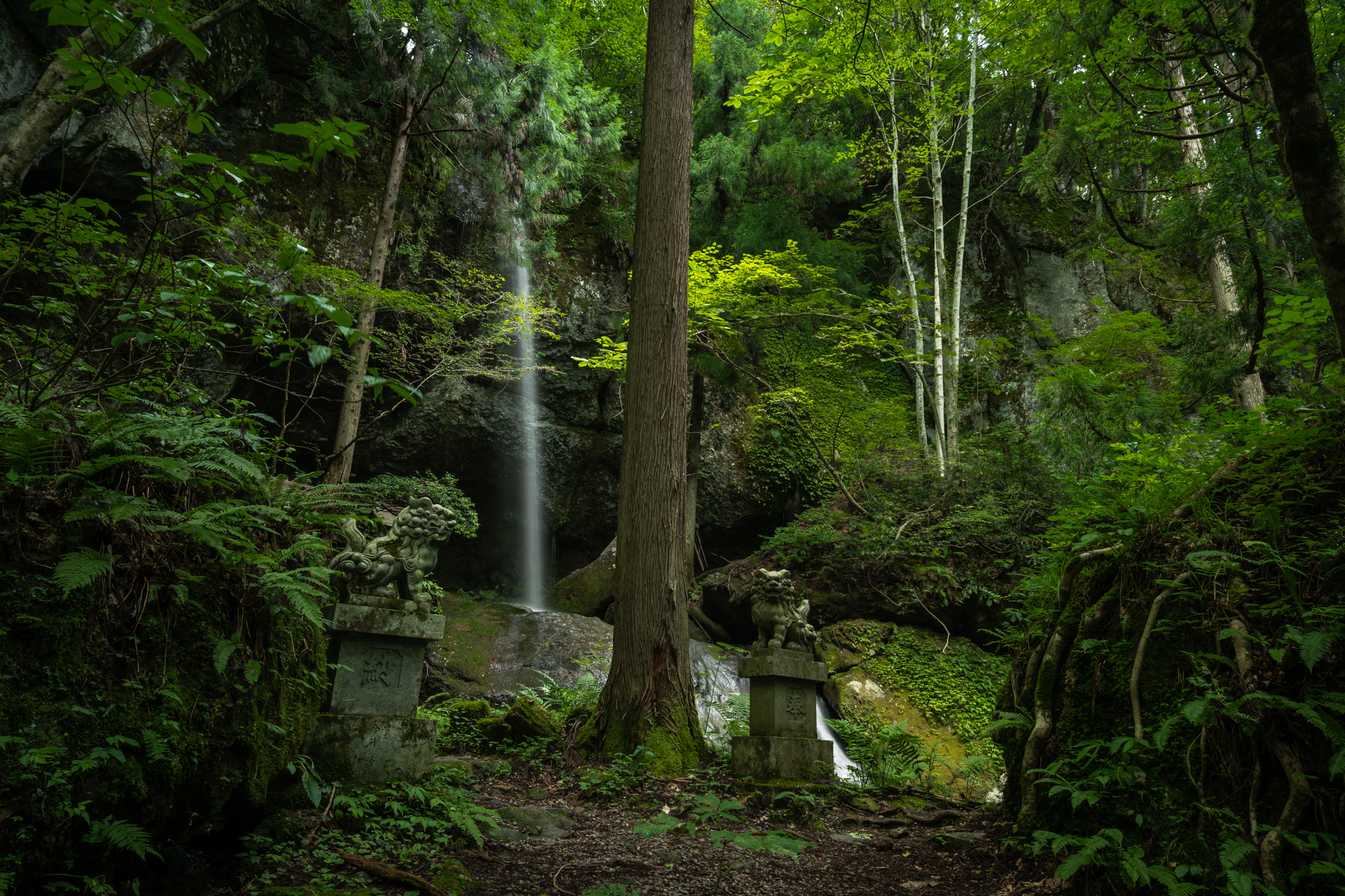 DSC01027 兵庫県 吉滝(滝と神社の幻想的な景色!  関西・近畿・兵庫県の滝スポット！撮影した写真の紹介、 アクセス情報や撮影ポイントなど!)　