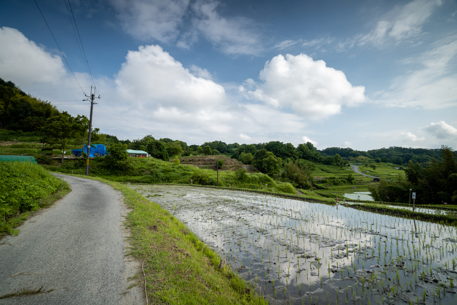 DSC06720 奈良県 明日香村 稲渕の棚田 ( 2019年彼岸花祭り 奈良県の棚田 夏と秋におすすめの彼岸花が観れる写真スポット・アクセス情報や撮影ポイントなど!)
