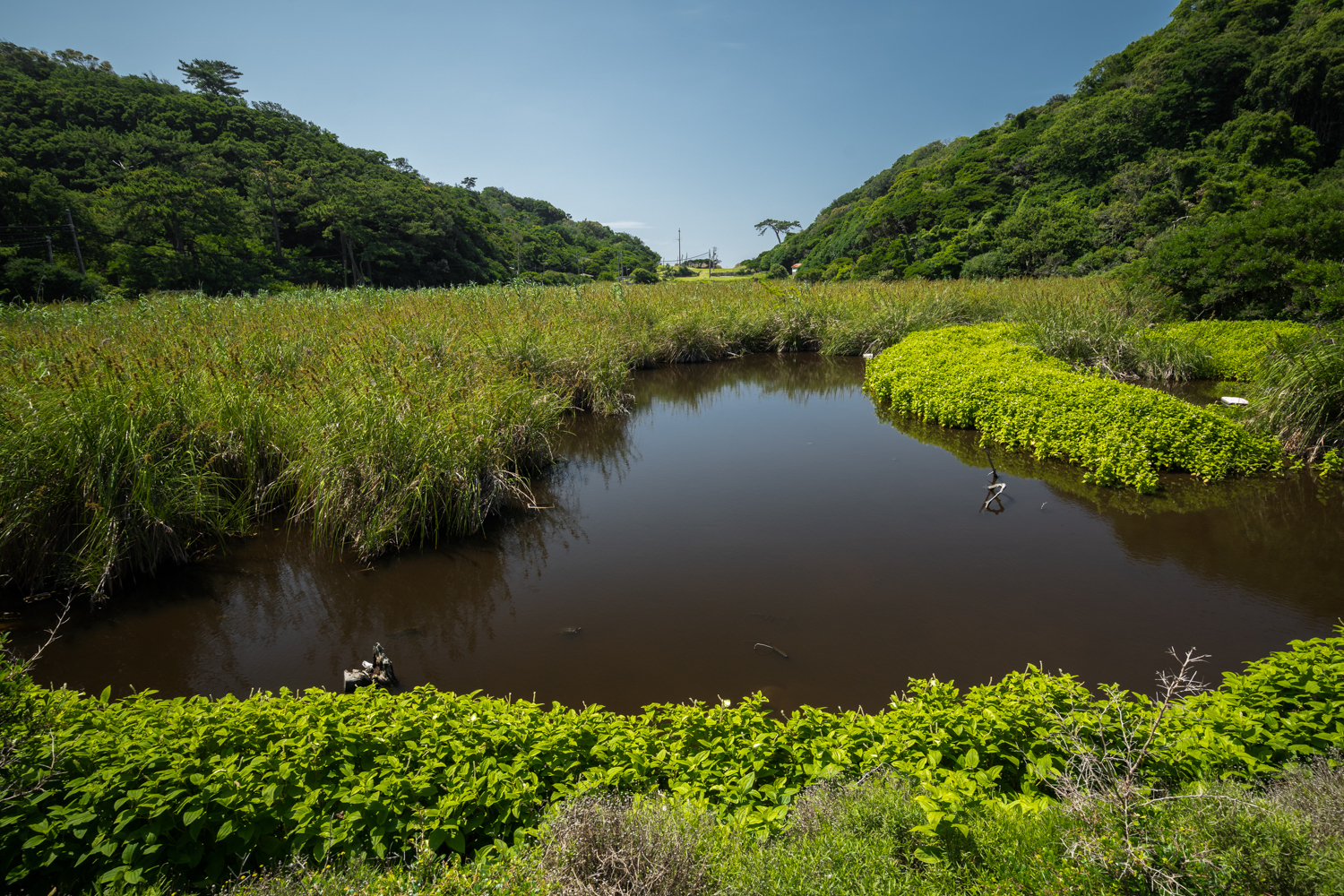 DSC08291 和歌山県 友ヶ島( 大阪から日帰りで行ける!まるでラピュタのような無人島、友ヶ島の写真スポット・汽船情報・アクセス情報や撮影ポイントなど!)