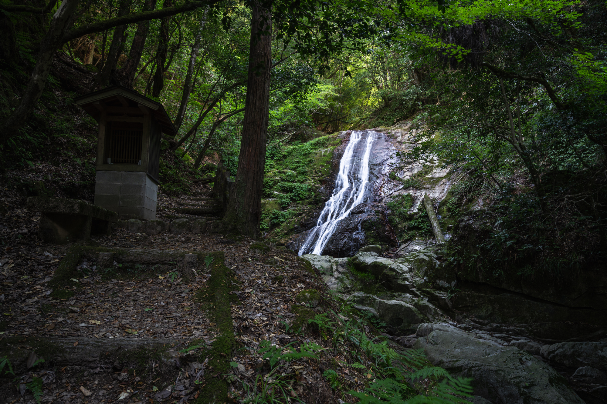 DSC01637 兵庫県 清竜の滝( 駐車場から歩いて5分! 関西・近畿・兵庫県の滝スポット！撮影した写真の紹介、 アクセス情報や撮影ポイントなど!)　