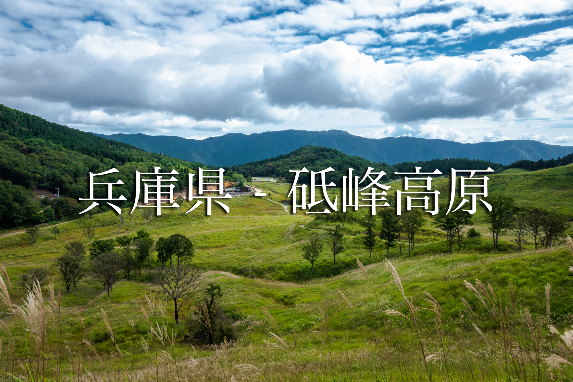 兵庫県 砥峰高原 一面ススキの草原が広がる絶景の高原写真スポット 撮影した写真の紹介 アクセス情報や撮影ポイントなど 写真や映像で紹介する関西 近畿の絶景カメラ 観光スポット