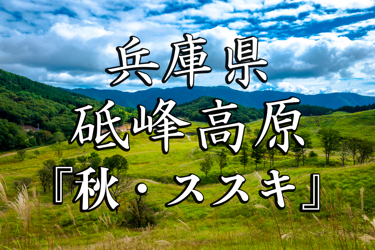 兵庫県 砥峰高原 一面ススキの草原が広がる絶景の高原写真スポット 撮影した写真の紹介 アクセス情報や撮影ポイントなど 写真や映像で紹介する 関西 近畿の絶景カメラ 観光スポット