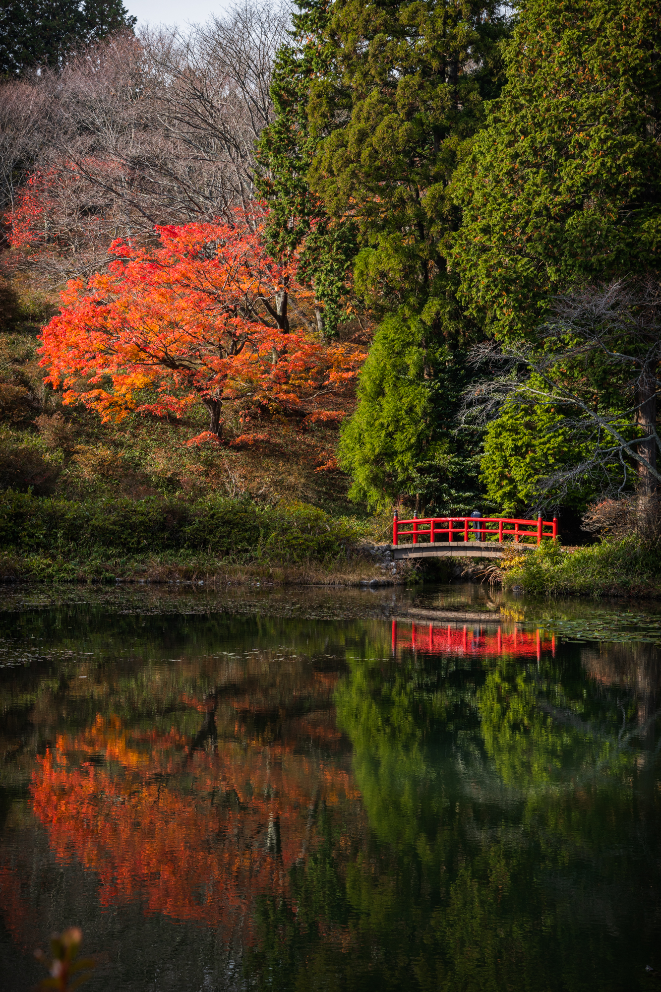 NIKON-CORPORATION_NIKON-D850_3232624178-3232733893_21870 奈良県  鳥見山公園( 赤い橋と紅葉景色が美しい絶景のリフレクション景色！ 撮影した写真の紹介、 アクセス情報や撮影ポイントなど!)　