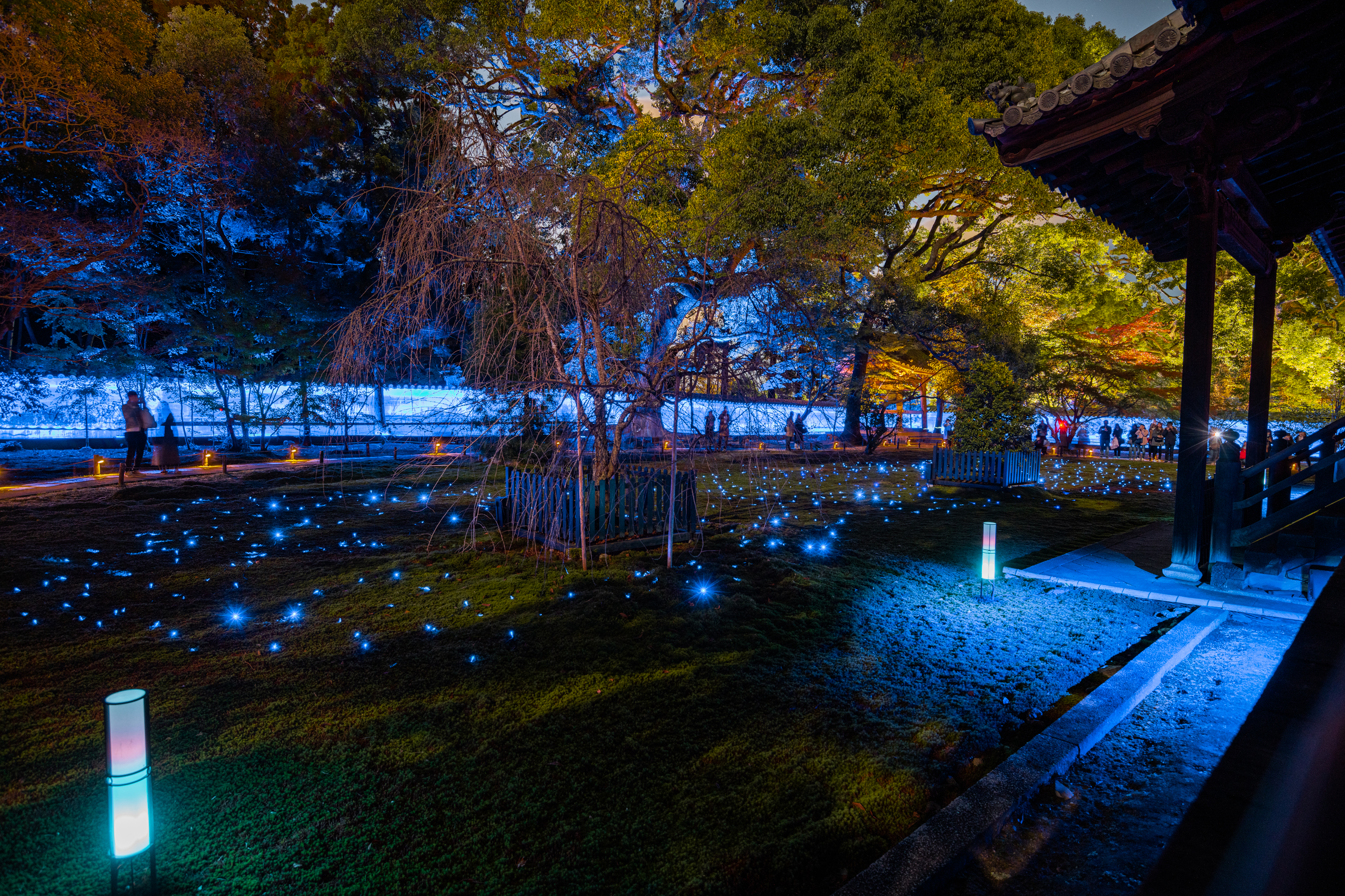 NIKON-CORPORATION_NIKON-D850_3267928818-3268035838_22173 京都  青蓮院門跡 ( 京都の秋、ライトアップが美しいおすすめの写真スポット!撮影した写真の紹介、アクセス情報や交通手段など!)