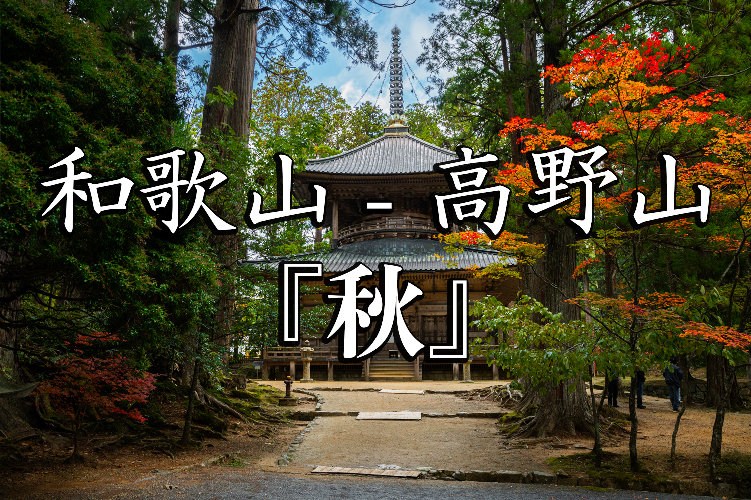 和歌山県 高野山 関西でいち早く紅葉が見れる秋におすすめの写真スポット 撮影した写真の紹介 アクセス情報など 写真や映像で紹介する関西 近畿の絶景カメラ 観光スポット