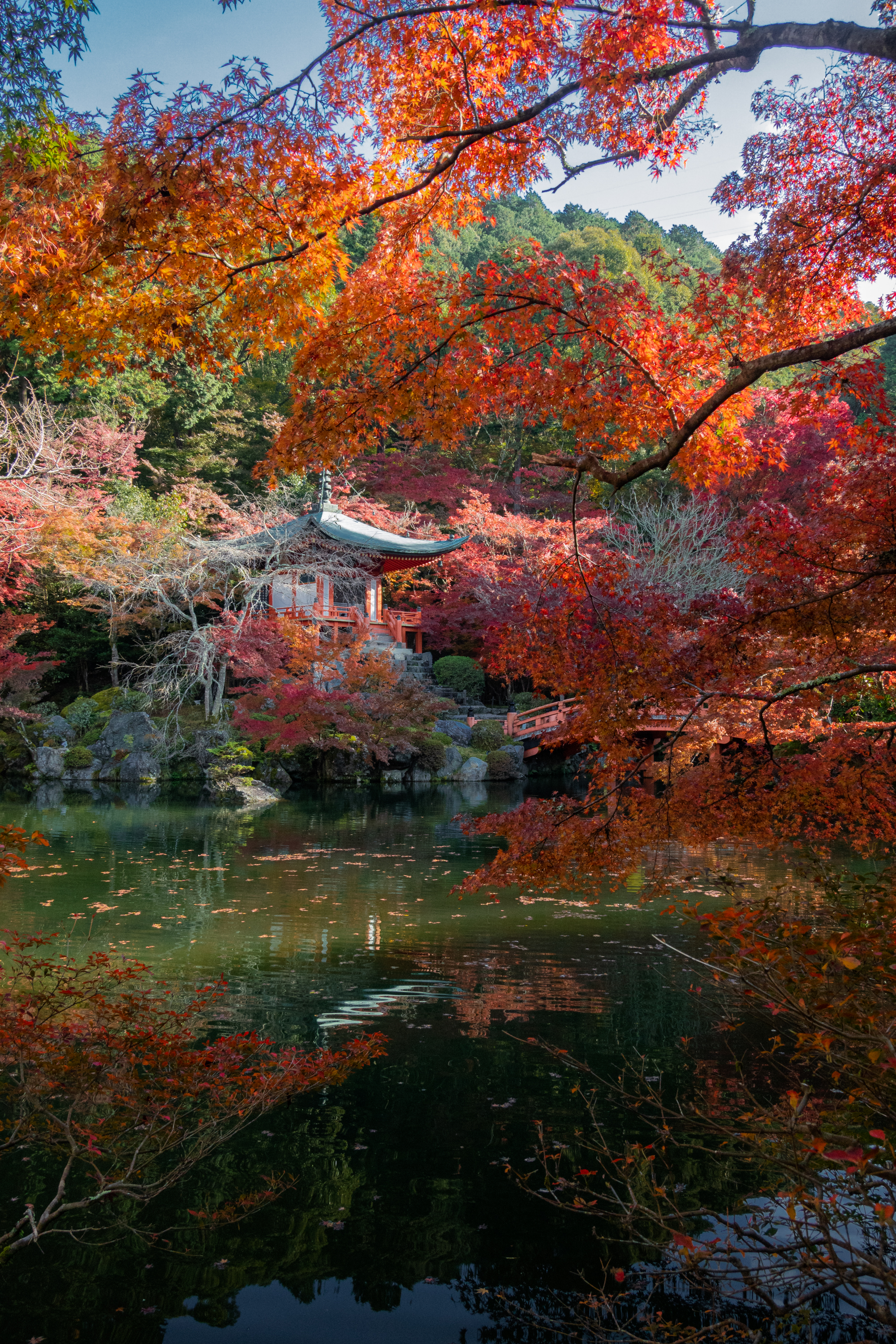 DSC00759 京都  醍醐寺( 紅葉の庭園が美しい秋におすすめの写真スポット!撮影した写真の紹介、アクセス情報や交通手段など)