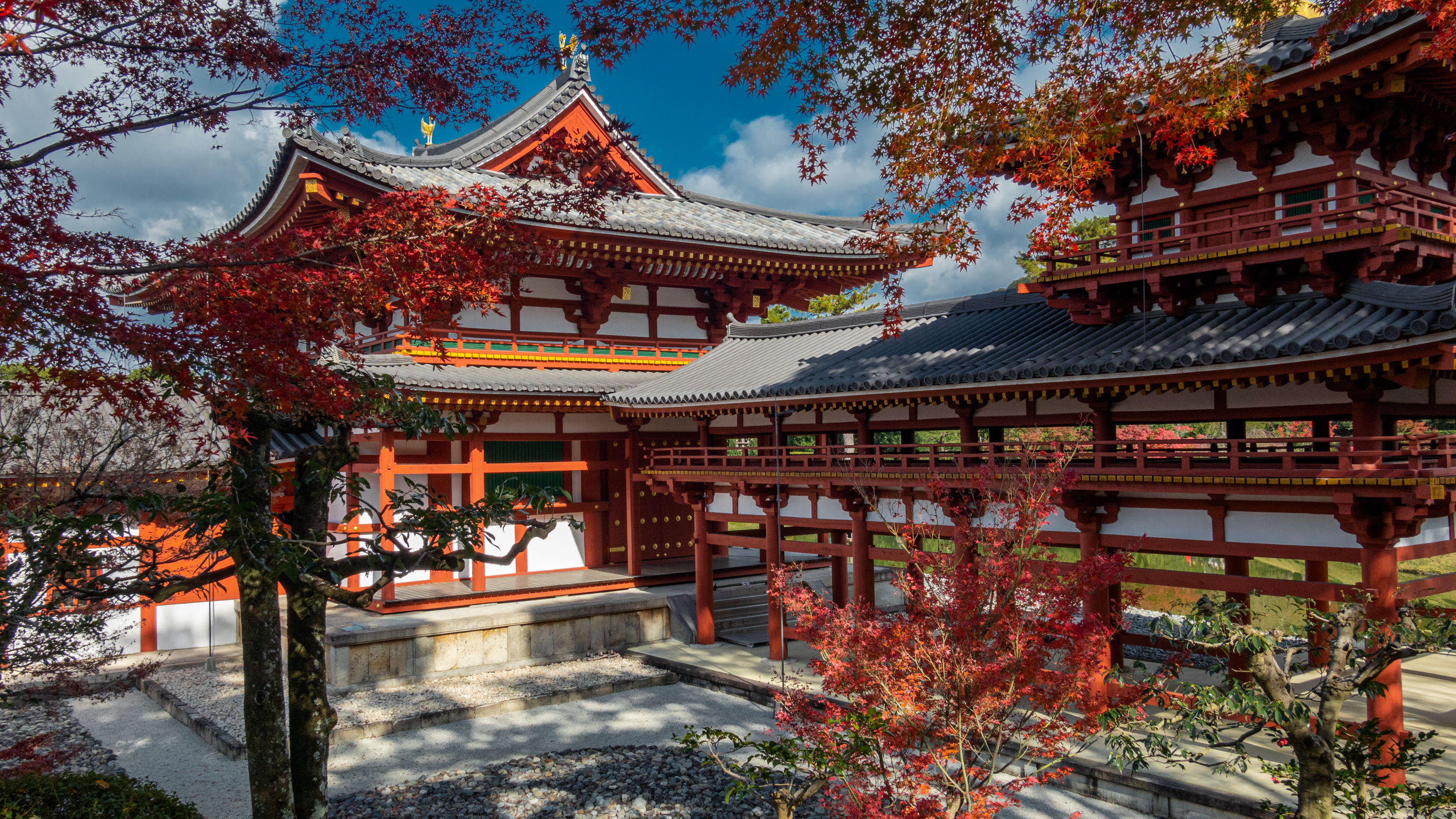 DSC01383 京都  平等院( 紅葉の庭園が美しい秋におすすめの写真スポット!撮影した写真の紹介、アクセス情報や交通手段など)