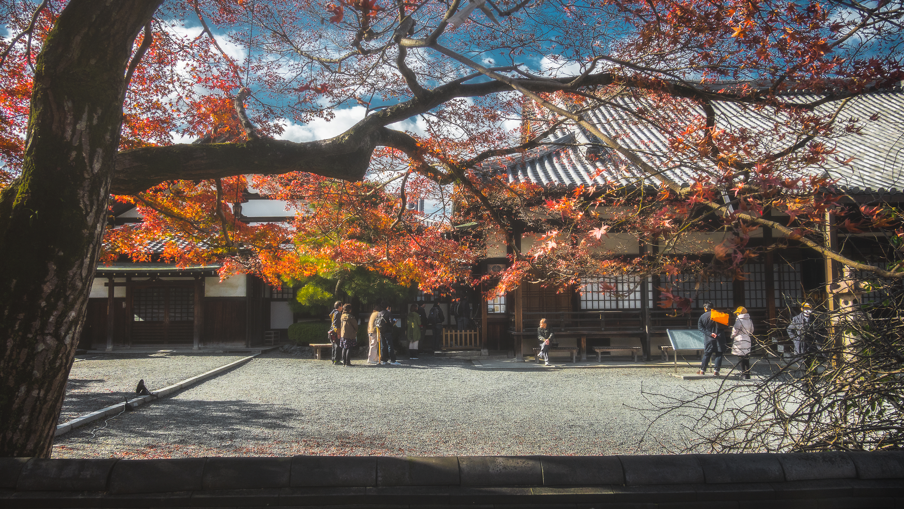 DSC01399 京都  平等院( 紅葉の庭園が美しい秋におすすめの写真スポット!撮影した写真の紹介、アクセス情報や交通手段など)