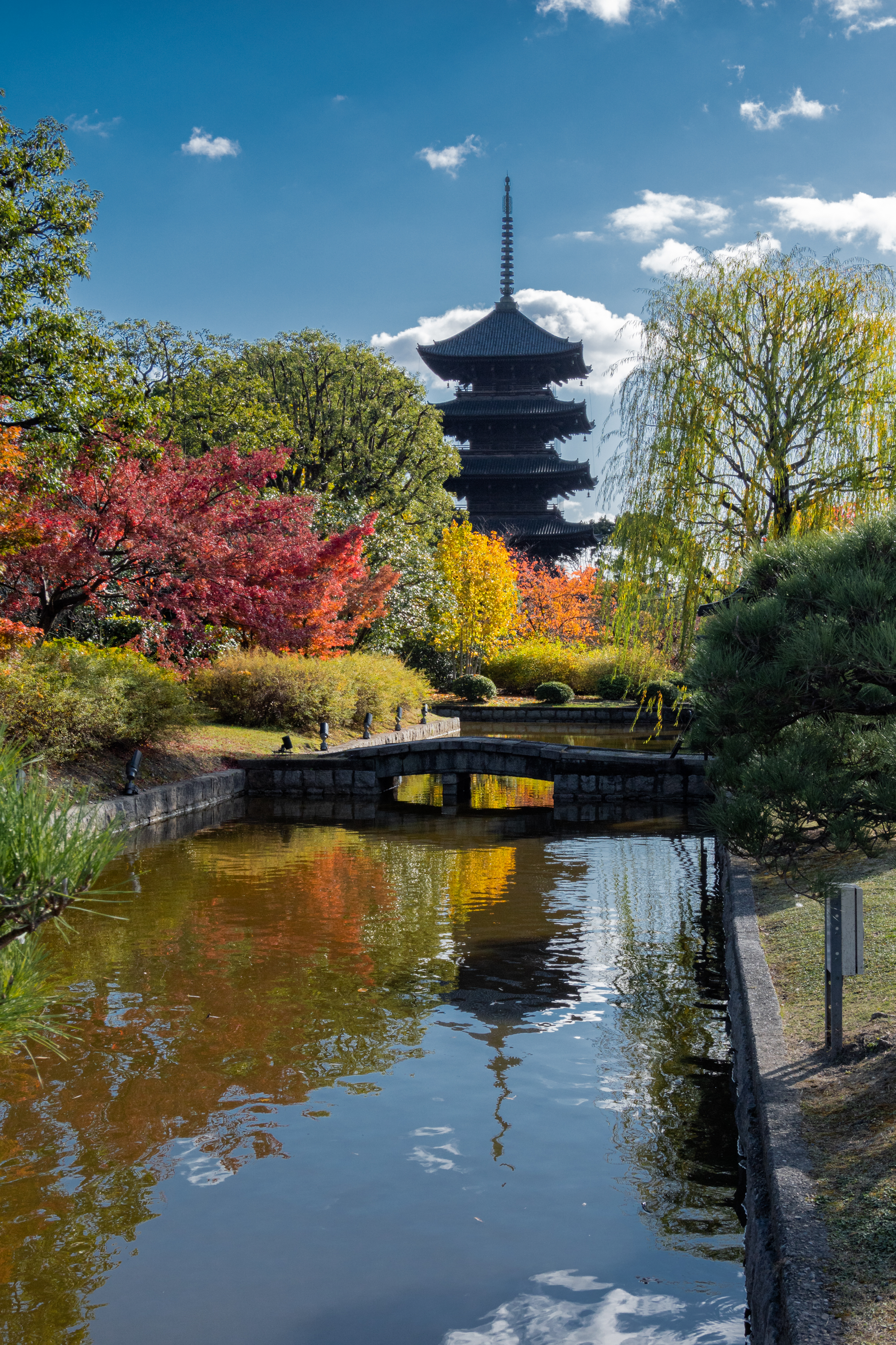 DSC01428 京都  東寺(京都の秋、紅葉の庭園が美しいおすすめの写真スポット!撮影した写真の紹介、アクセス情報や交通手段など)