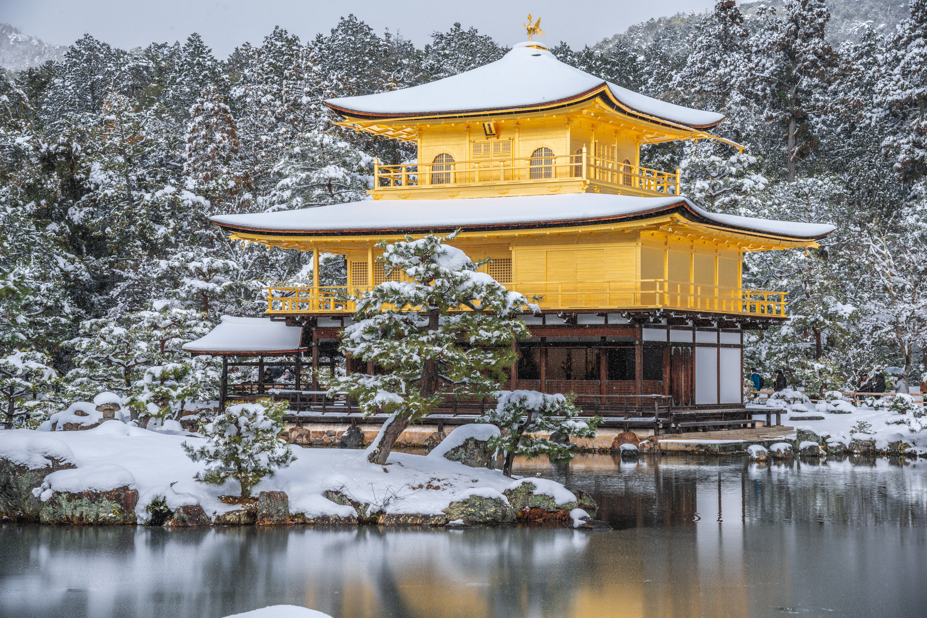 日本冬季限定! 京都必訪可遇不可求的5大絕美雪景｜絕景日本