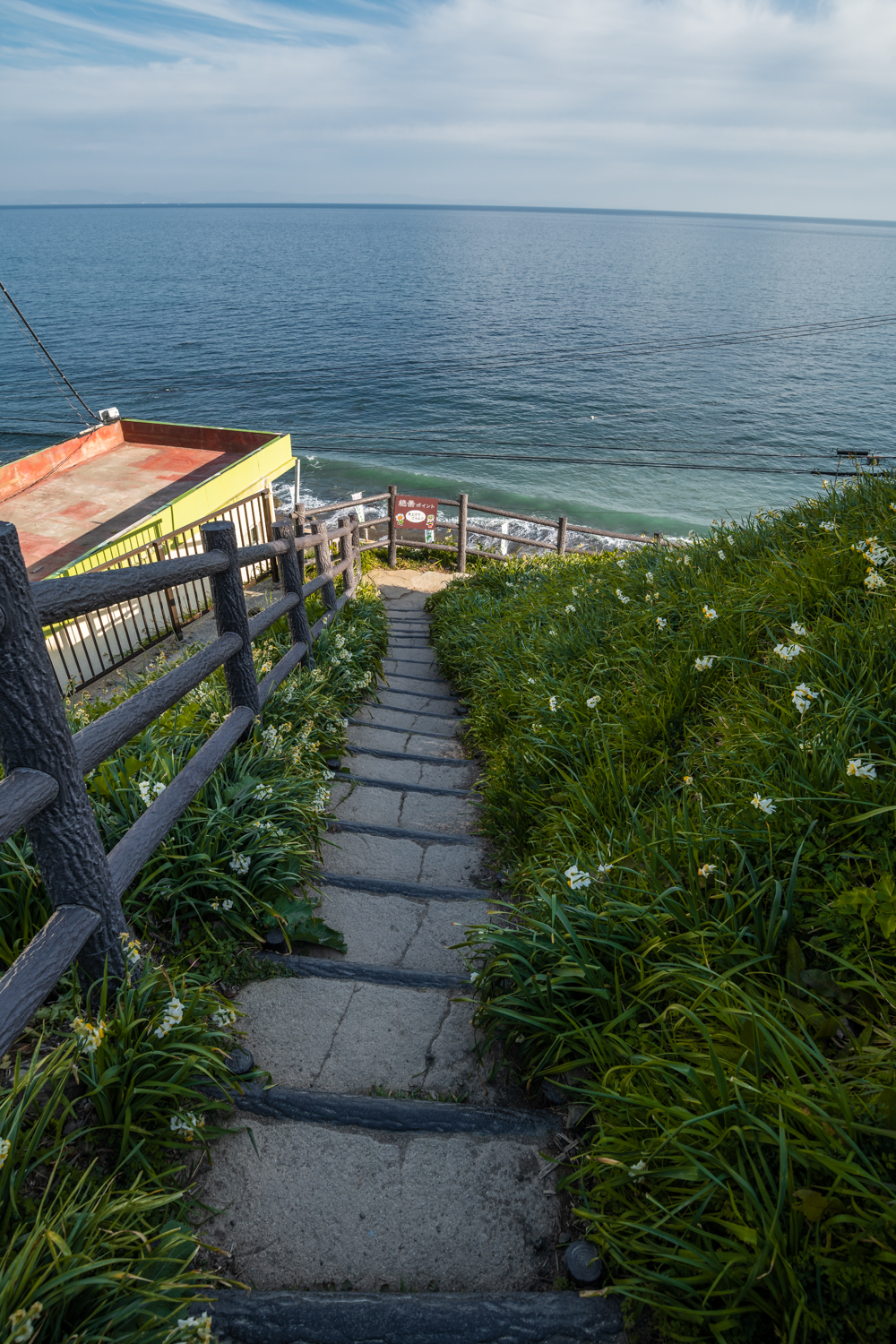 NIKON-CORPORATION_NIKON-D850_1921145906-1921256906_16441 兵庫県 灘黒岩水仙郷(淡路島で水仙が見れるおすすめ絶景スポット! 写真の紹介、アクセス情報や交通手段・駐車場情報などまとめ)