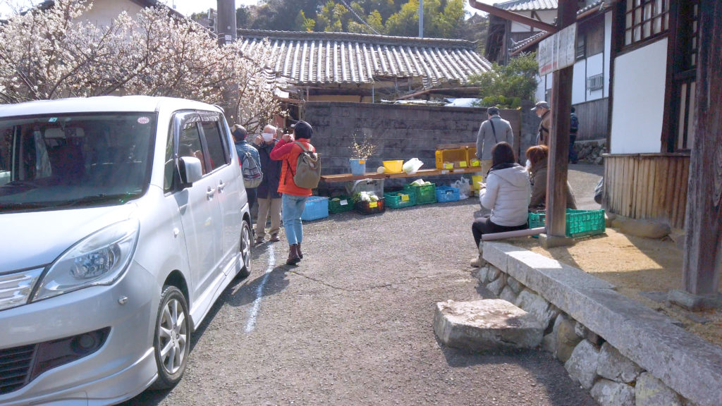 68376464efe65aa163eabd15cd8ae591-1024x576 大阪府 金熊寺(梅の本数約2000! 泉南最大の梅林を見ることができる春におすすめの写真スポット. アクセス情報や交通手段・駐車場情報などまとめ)