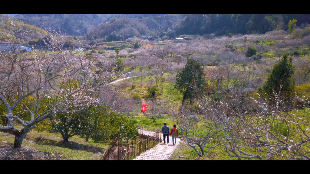 a053e9f0f025c434711aadb060d2fc24-1024x576 【2020年】関西の『梅林・梅園』おすすめ写真スポット"9選"を紹介! 開花情報や見頃情報などを実際に訪れ撮影した写真とお届けします!