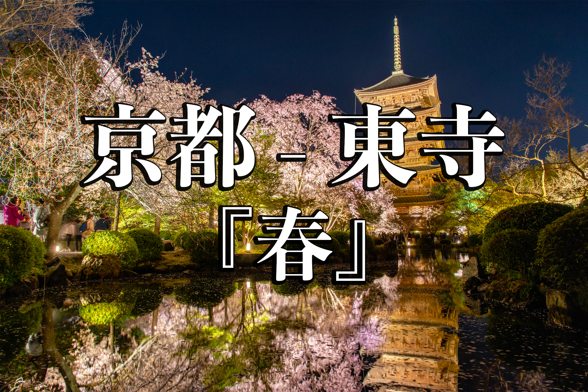 京都府 東寺 水面に映る五重塔と桜の美しい景色 京都の春におすすめ桜写真スポット 撮影した写真の紹介 アクセスや駐車場など 写真や映像で紹介する関西 近畿の絶景カメラ 観光スポット